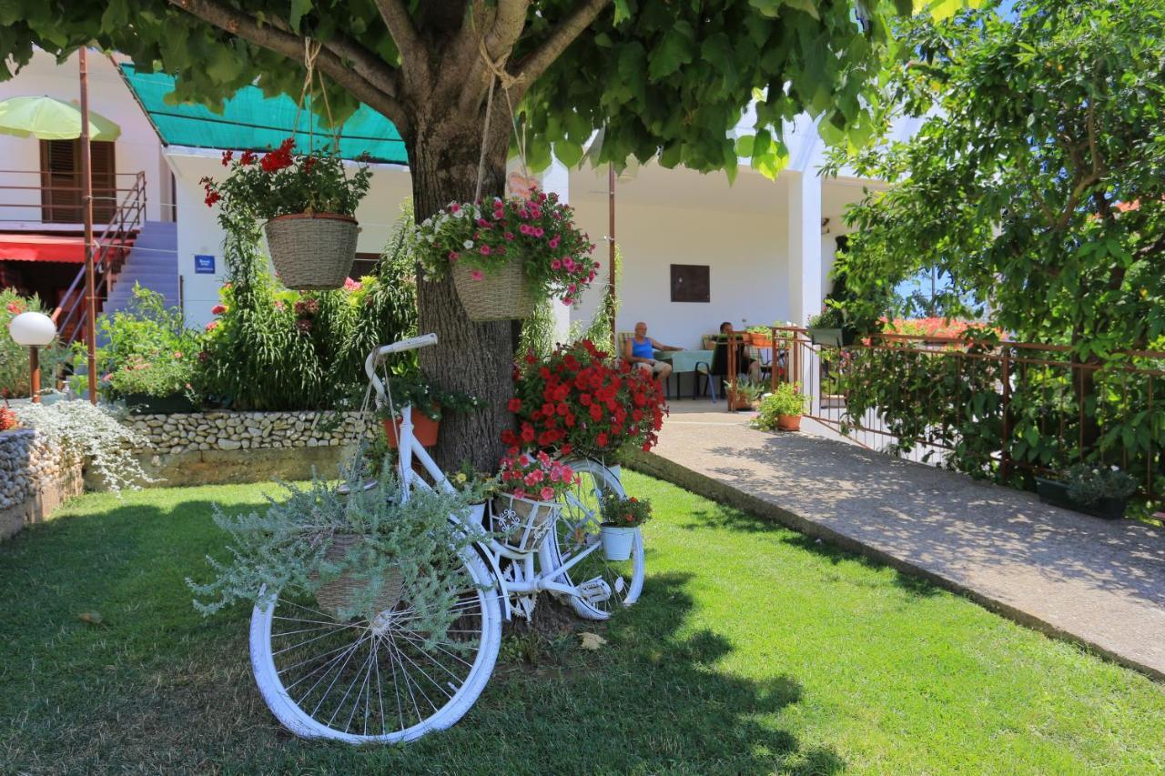 Apartment By The Sea Zivogosce - Blato, Makarska - 1057 Blato (Makarska)